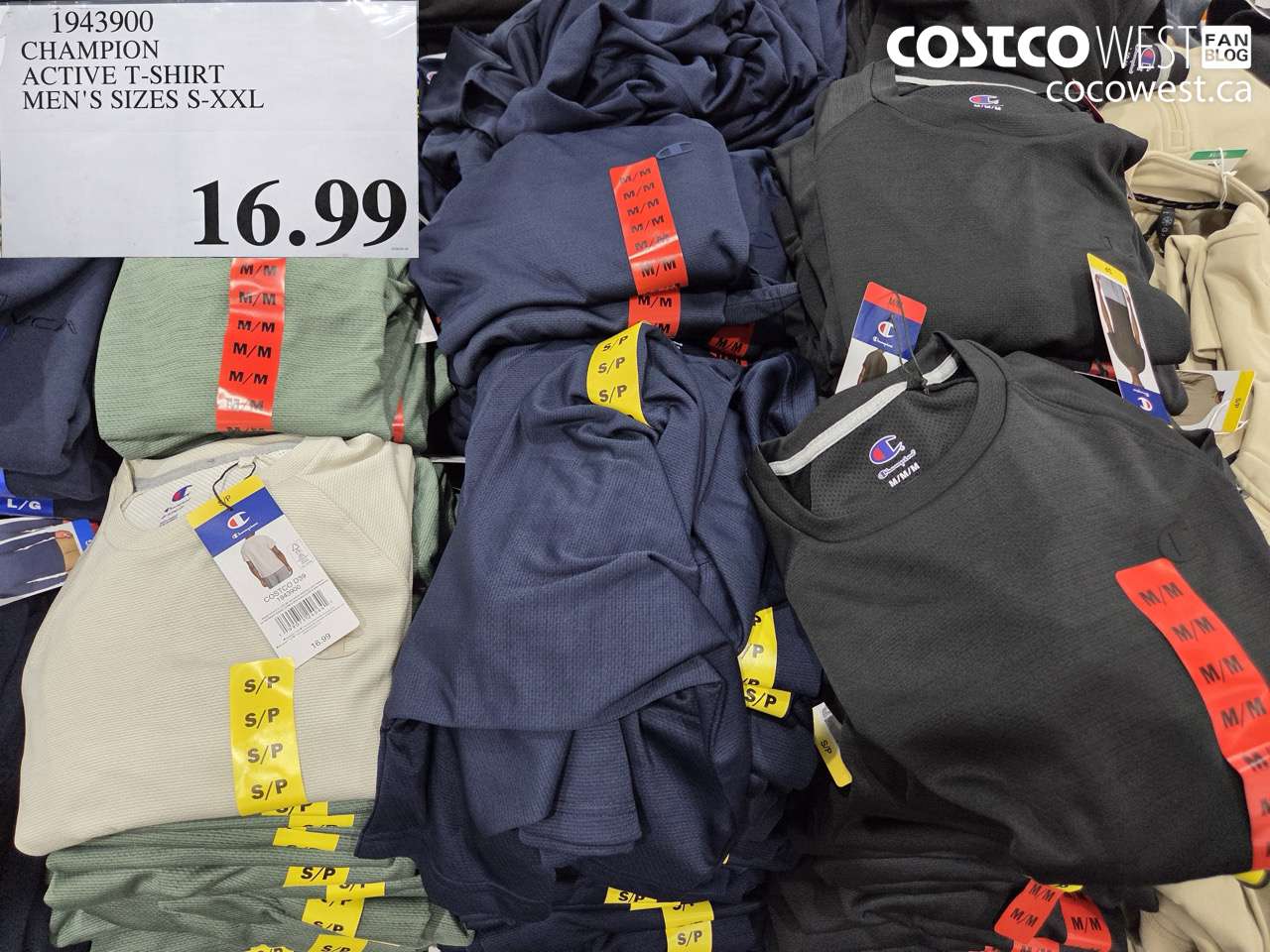 1943900 CHAMPION ACTIVE T-SHIRT MEN'S SIZES S-XXL $16.99