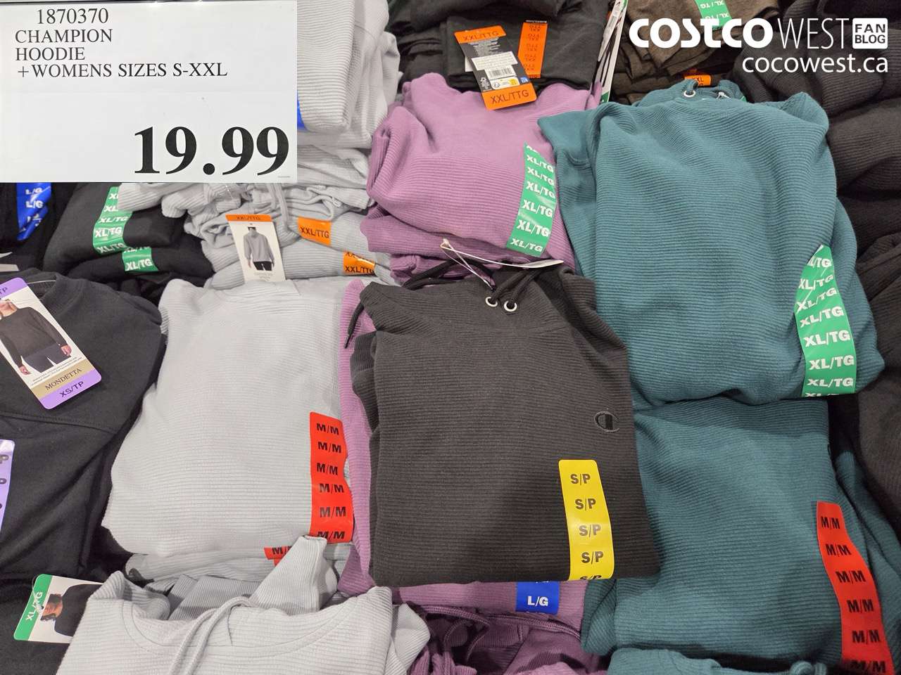 1870370 CHAMPION HOODIE + WOMENS SIZES S-XXL $19.99