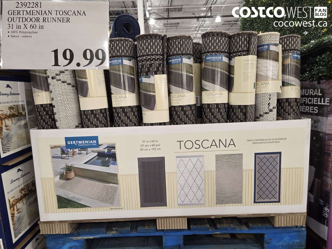 2392281 GERTMENIAN TOSCANA OUTDOOR RUNNER 31 IN X 60 IN $19.99