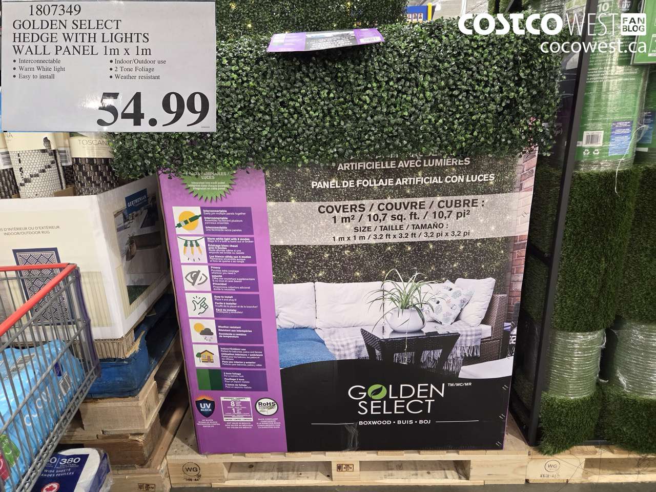 1807349 GOLDEN SELECT HEDGE WITH LIGHTS WALL PANEL 1M X 1M $54.99