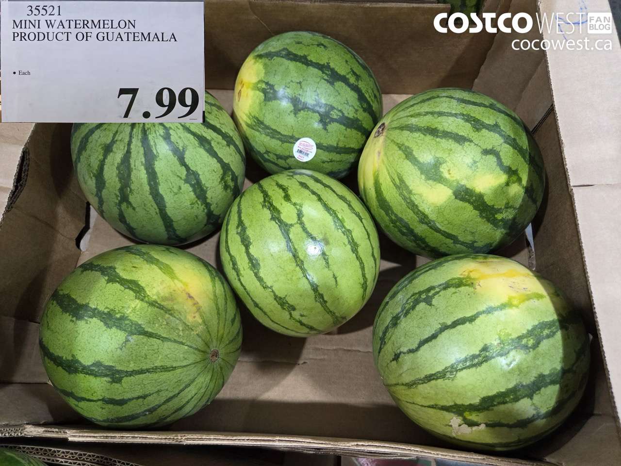 35521 MINI WATERMELON PRODUCT OF GUATEMALA $7.99