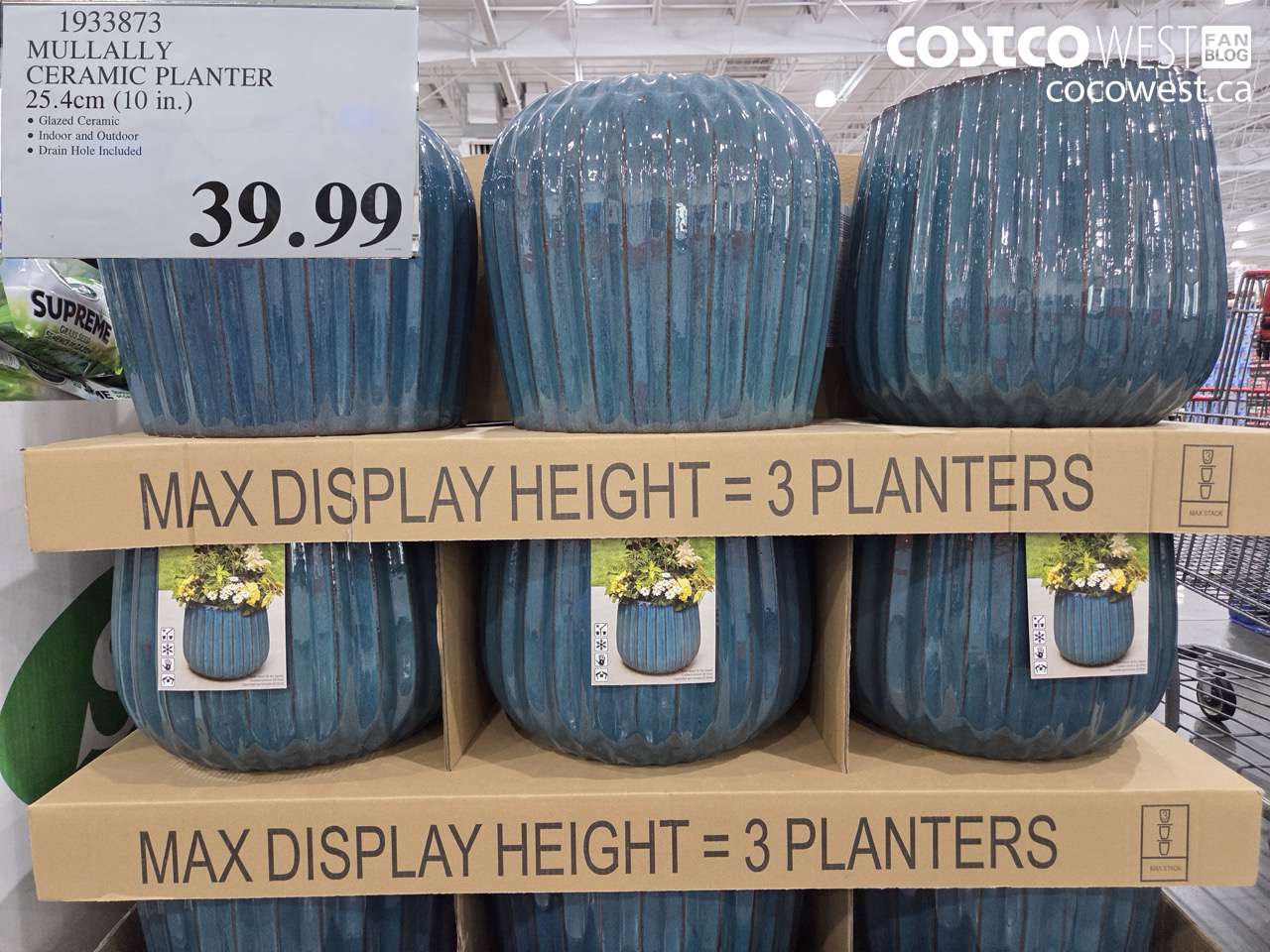 1933873 MULLALLY CERAMIC PLANTER 25.4CM (10 IN.) $39.99