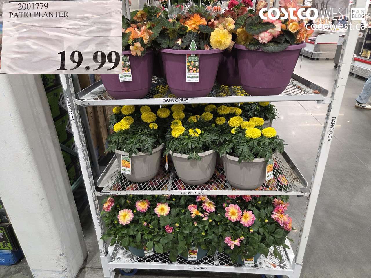 2001779 PATIO PLANTER $19.99