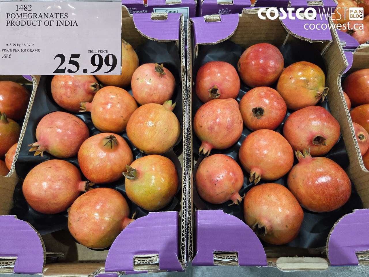 1482 POMEGRANATES PRODUCT OF INDIA $25.99