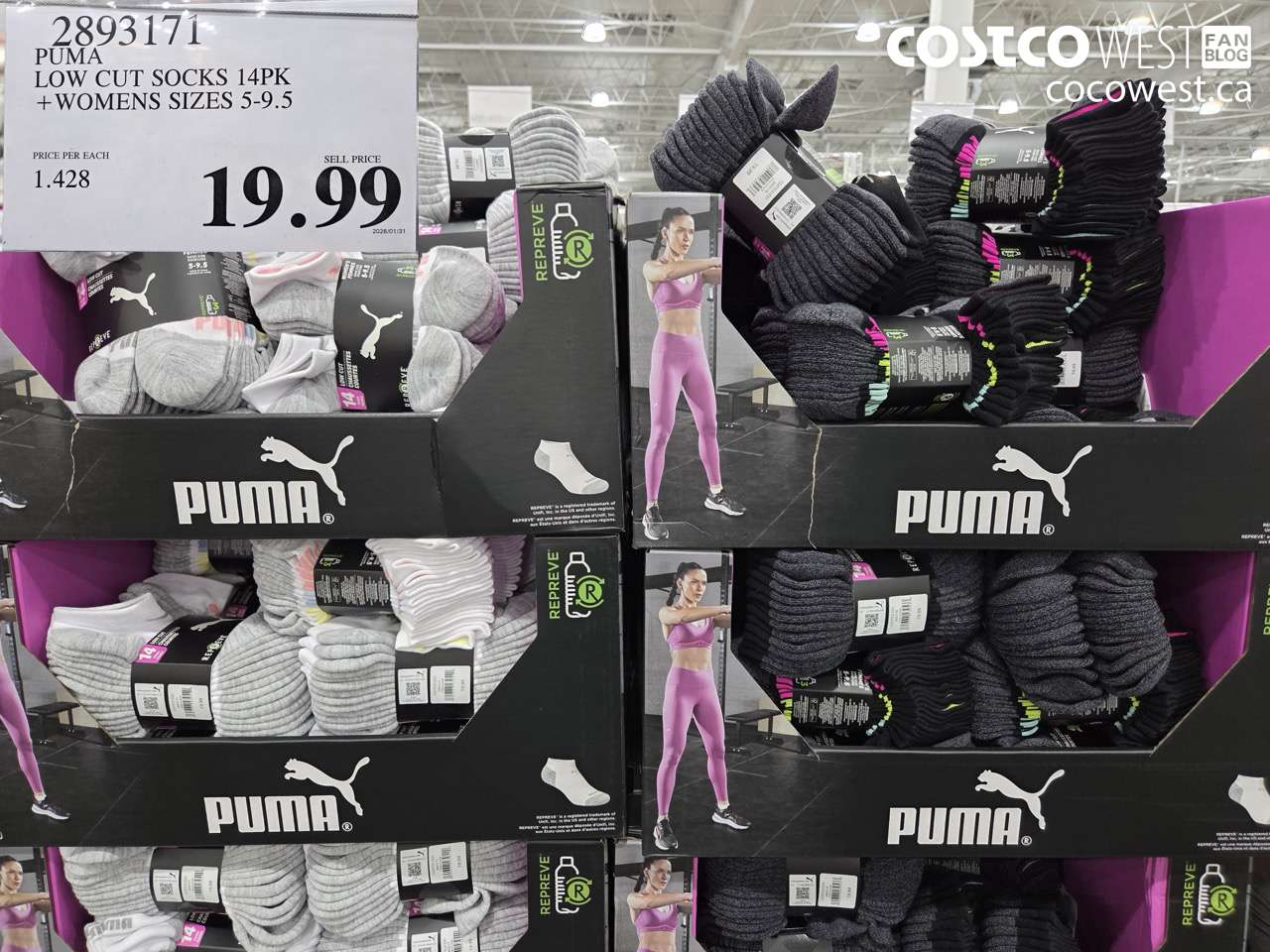 2893171 PUMA LOW CUT SOCKS 14PK + WOMENS SIZES 5-9.5 $19.99