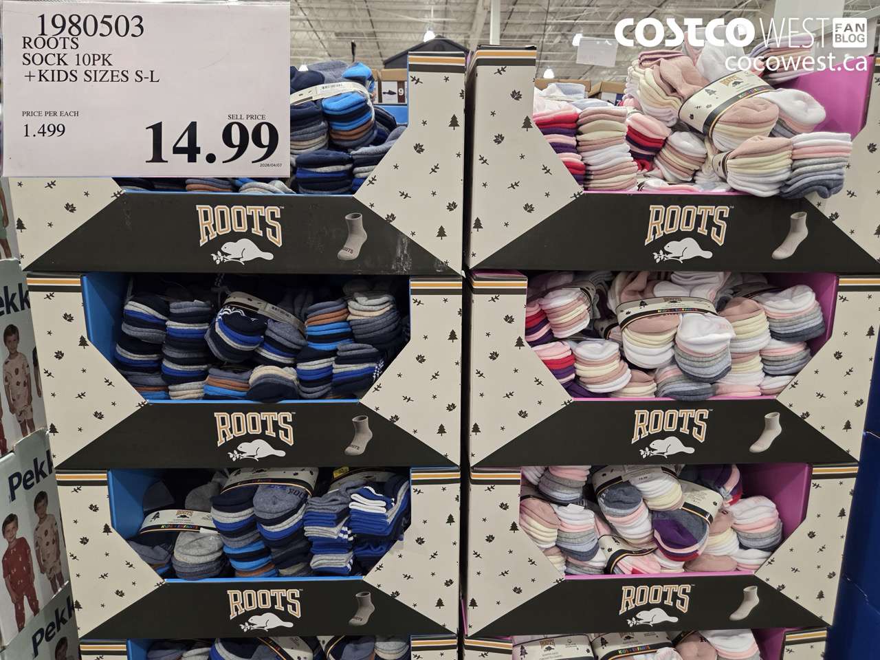 1980503 ROOTS SOCK 10PK +KIDS SIZES S-L $14.99