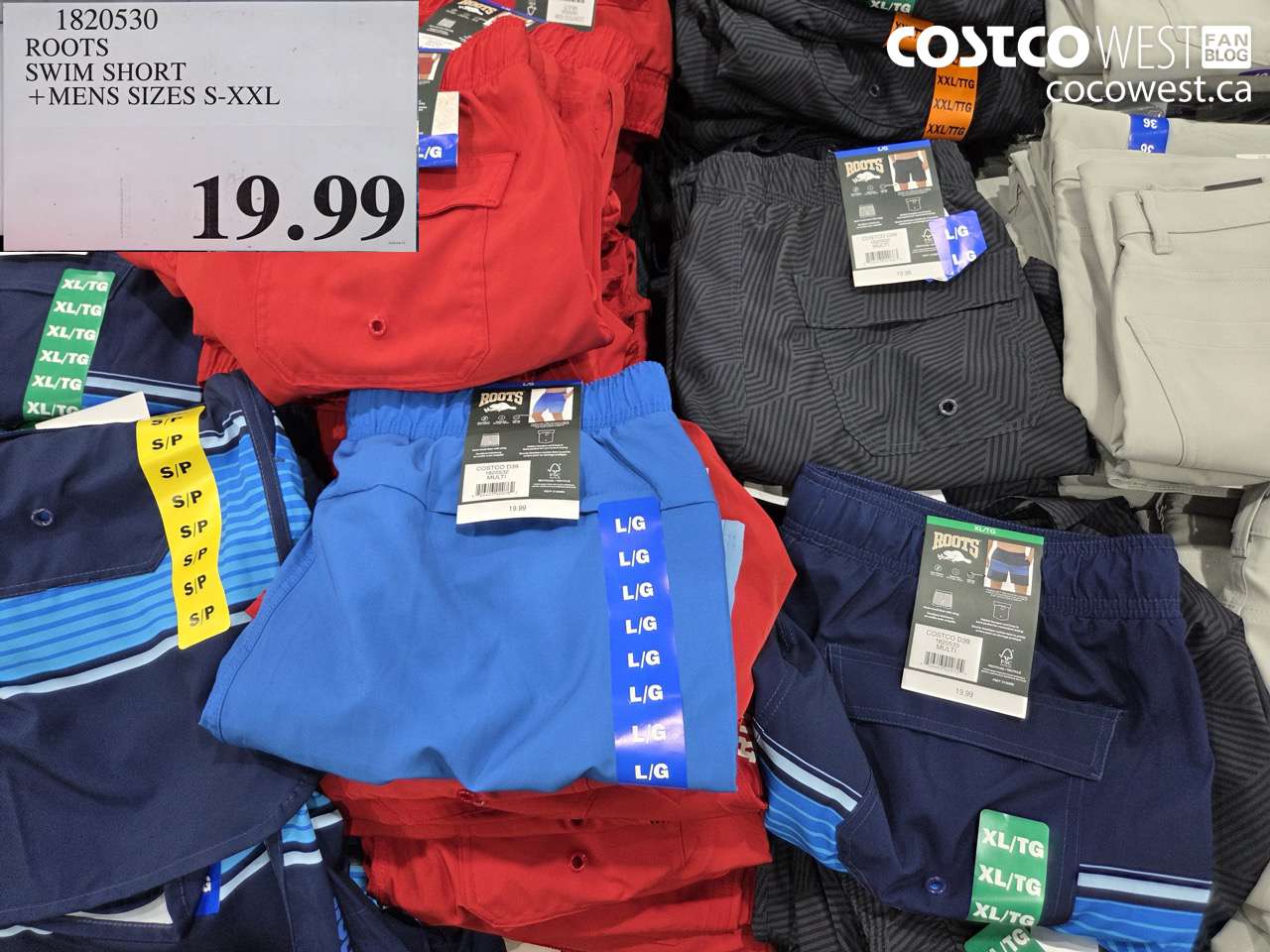 1820530 ROOTS SWIM SHORT + MENS SIZES S-XXL $19.99