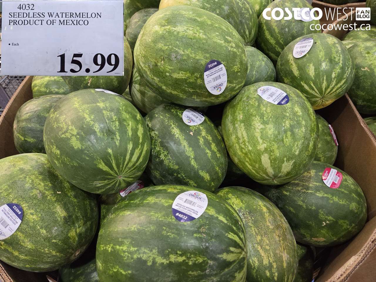 4032 SEEDLESS WATERMELON PRODUCT OF MEXICO $15.99