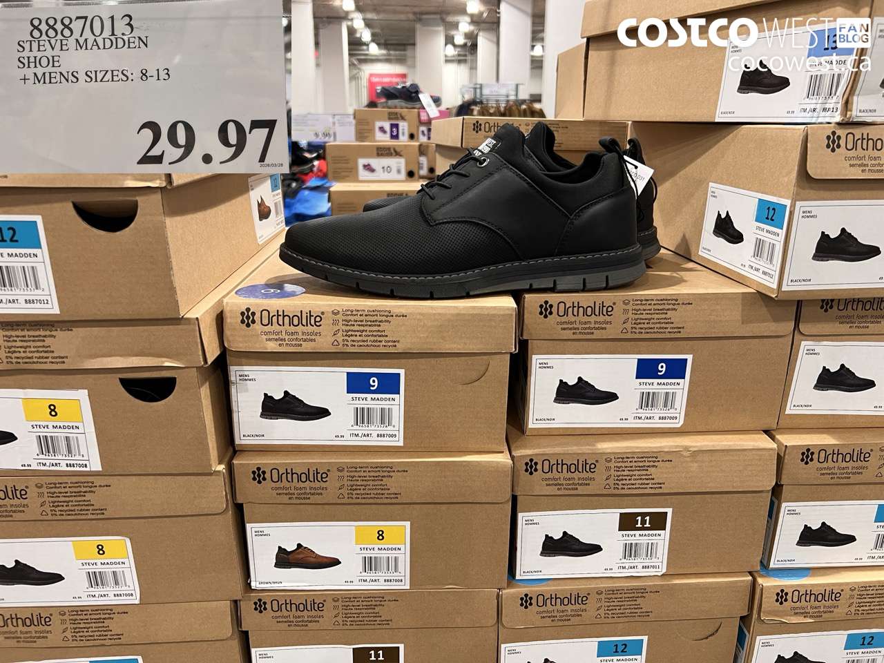 8887013 STEVE MADDEN SHOE +MENS SIZES: 8-13 $29.97