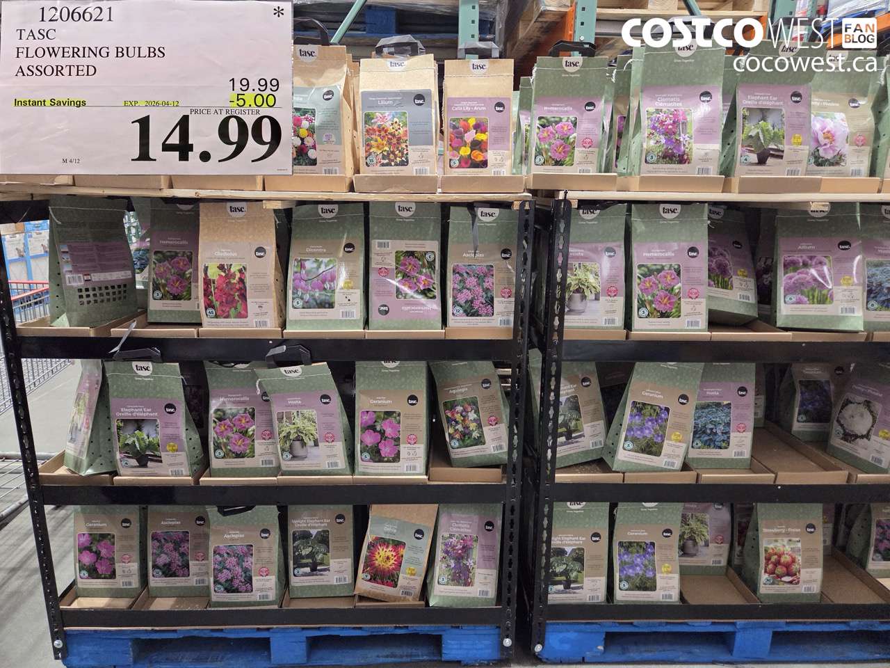 1206621 TASC FLOWERING BULBS ASSORTED ($5.00 INSTANT SAVINGS EXPIRES ON 2026-04-12) $14.99
