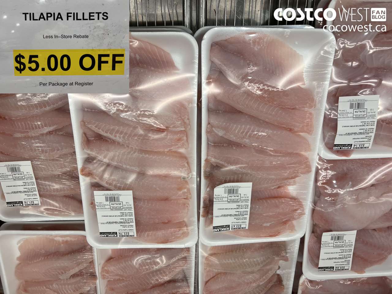 22202 TILAPIA FILLETS ($5.00 INSTANT SAVINGS)