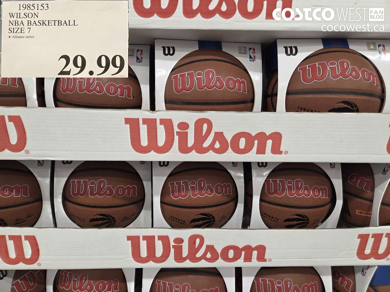 1985153 WILSON NBA BASKETBALL SIZE 7 $29.99