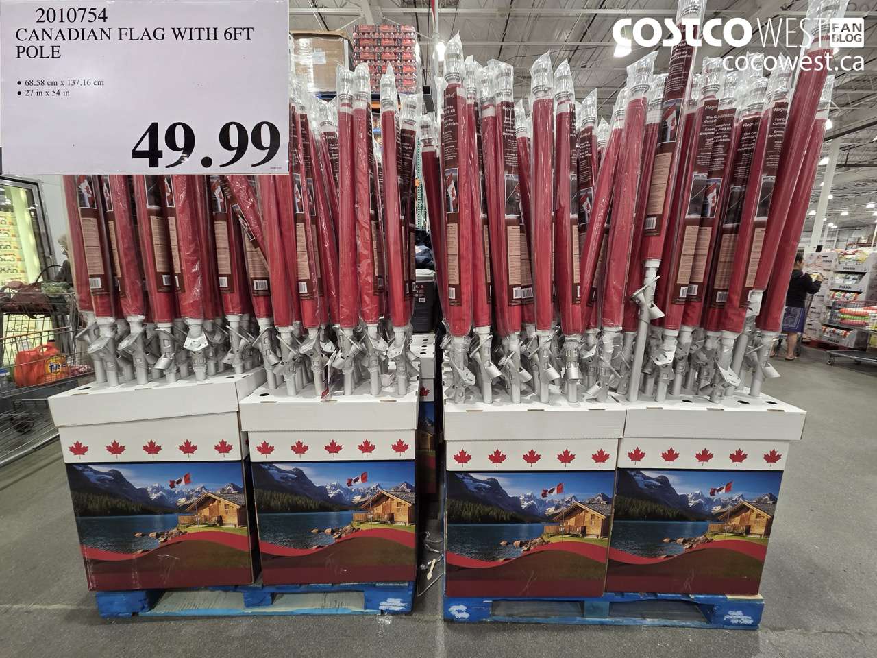 2010754 CANADIAN FLAG WITH 6FT POLE $49.99