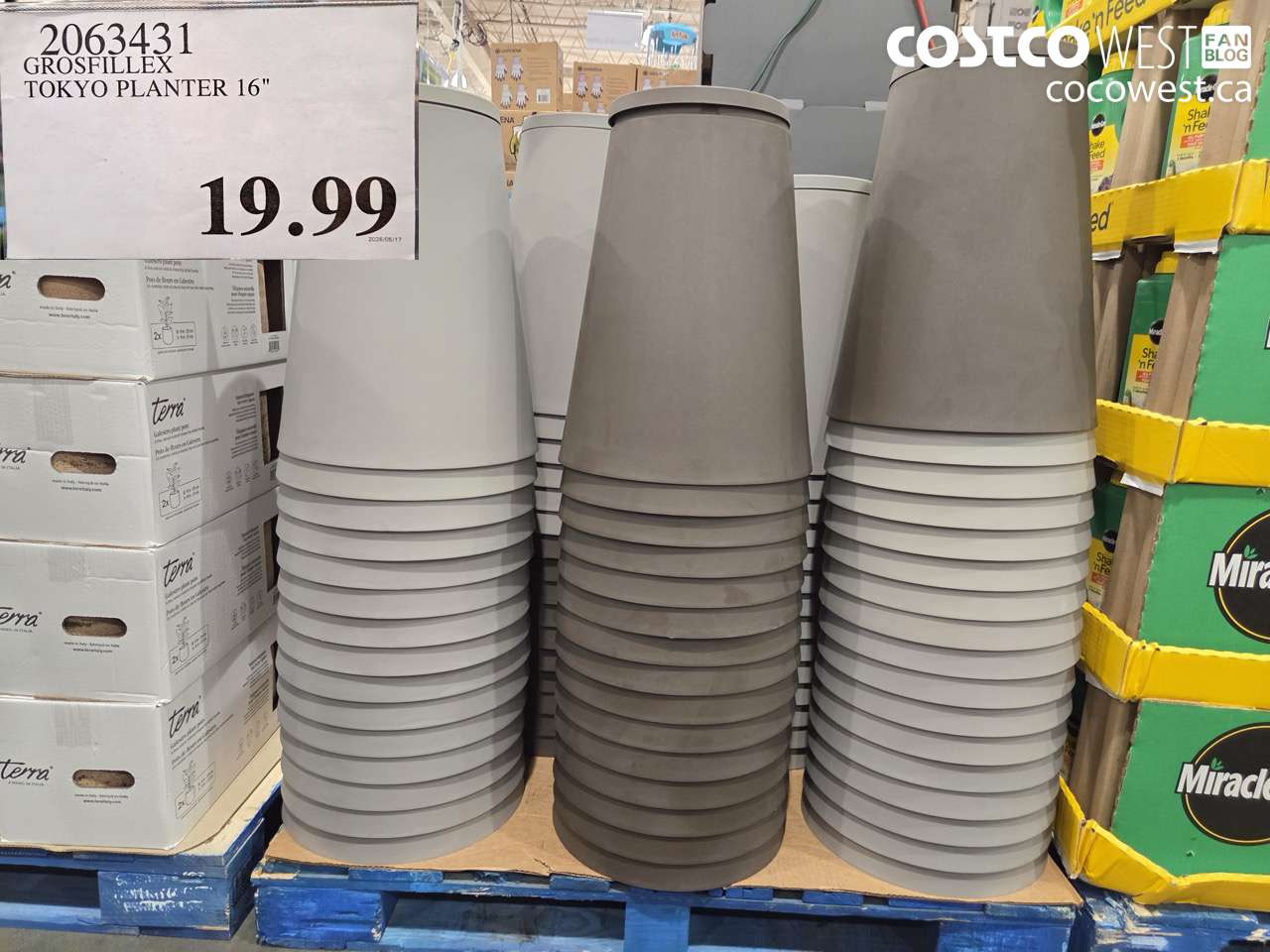 2063431 GROSFILLEX TOKYO PLANTER 16
