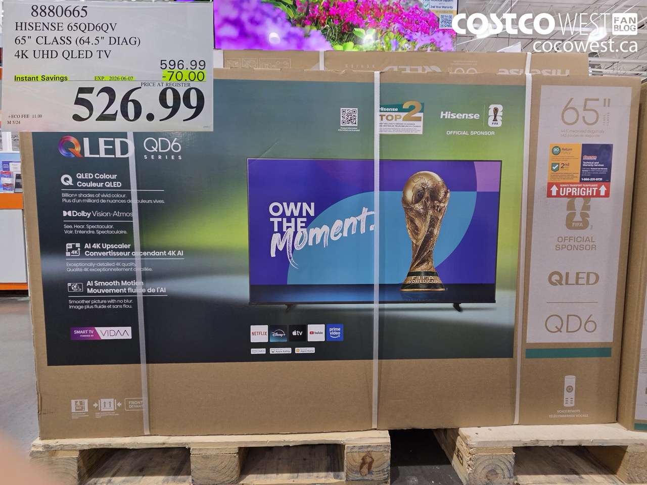 8880665 HISENSE 65QD6QV 65