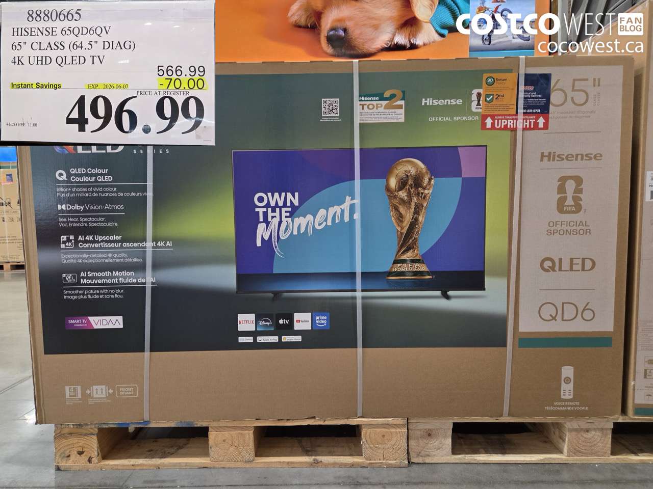 8880665 HISENSE 65QD6QV 65