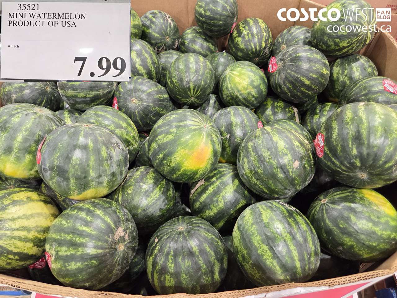 35521 MINI WATERMELON PRODUCT OF USA $7.99