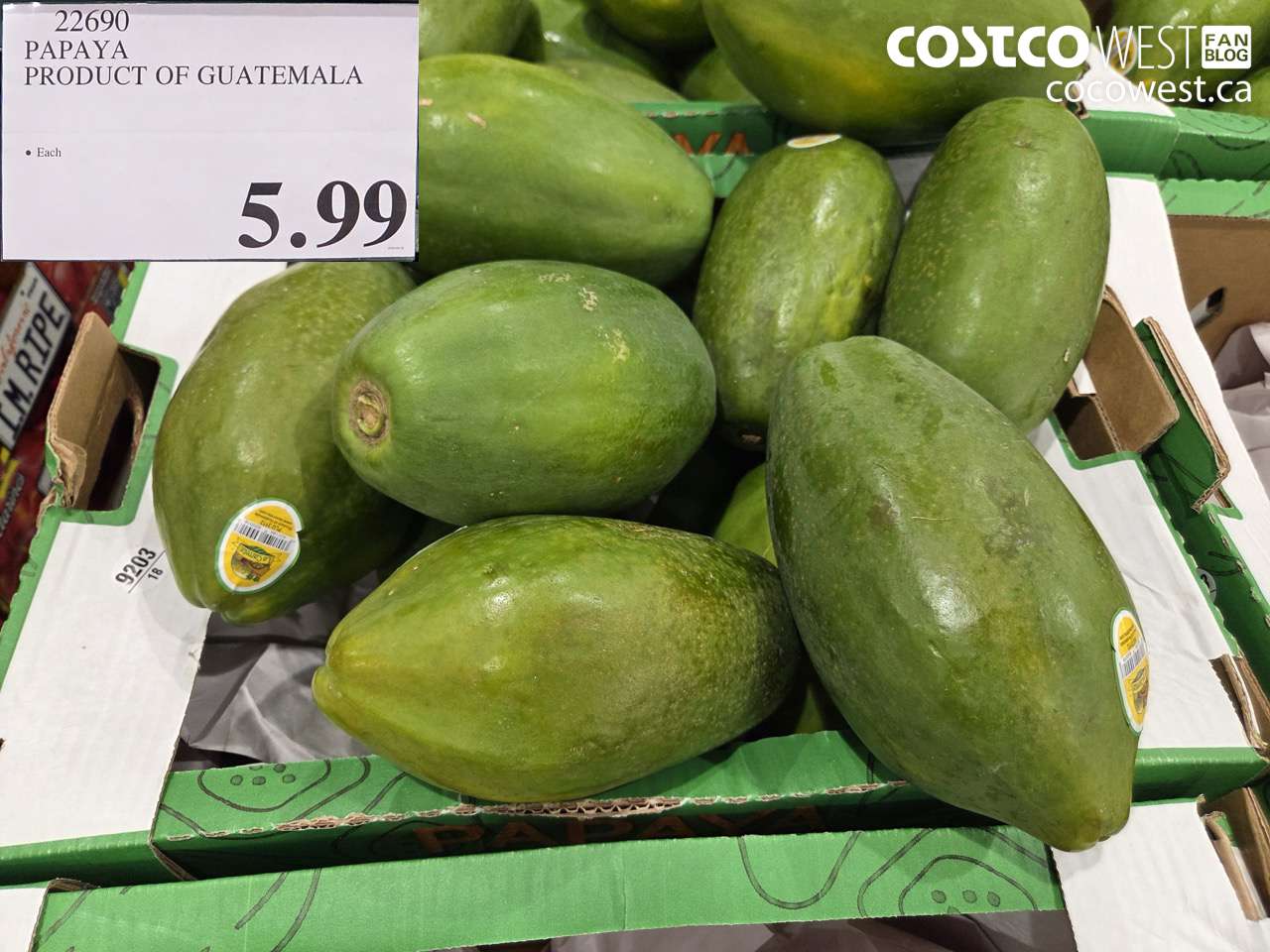 22690 PAPAYA PRODUCT OF GUATEMALA $5.99
