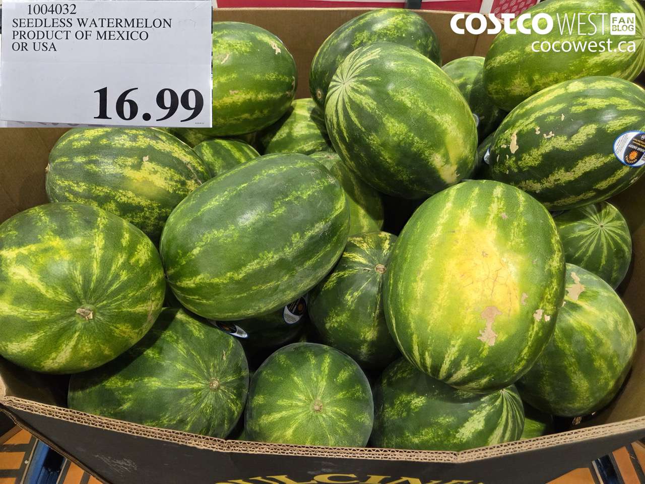 1004032 SEEDLESS WATERMELON PRODUCT OF MEXICO OR USA $16.99