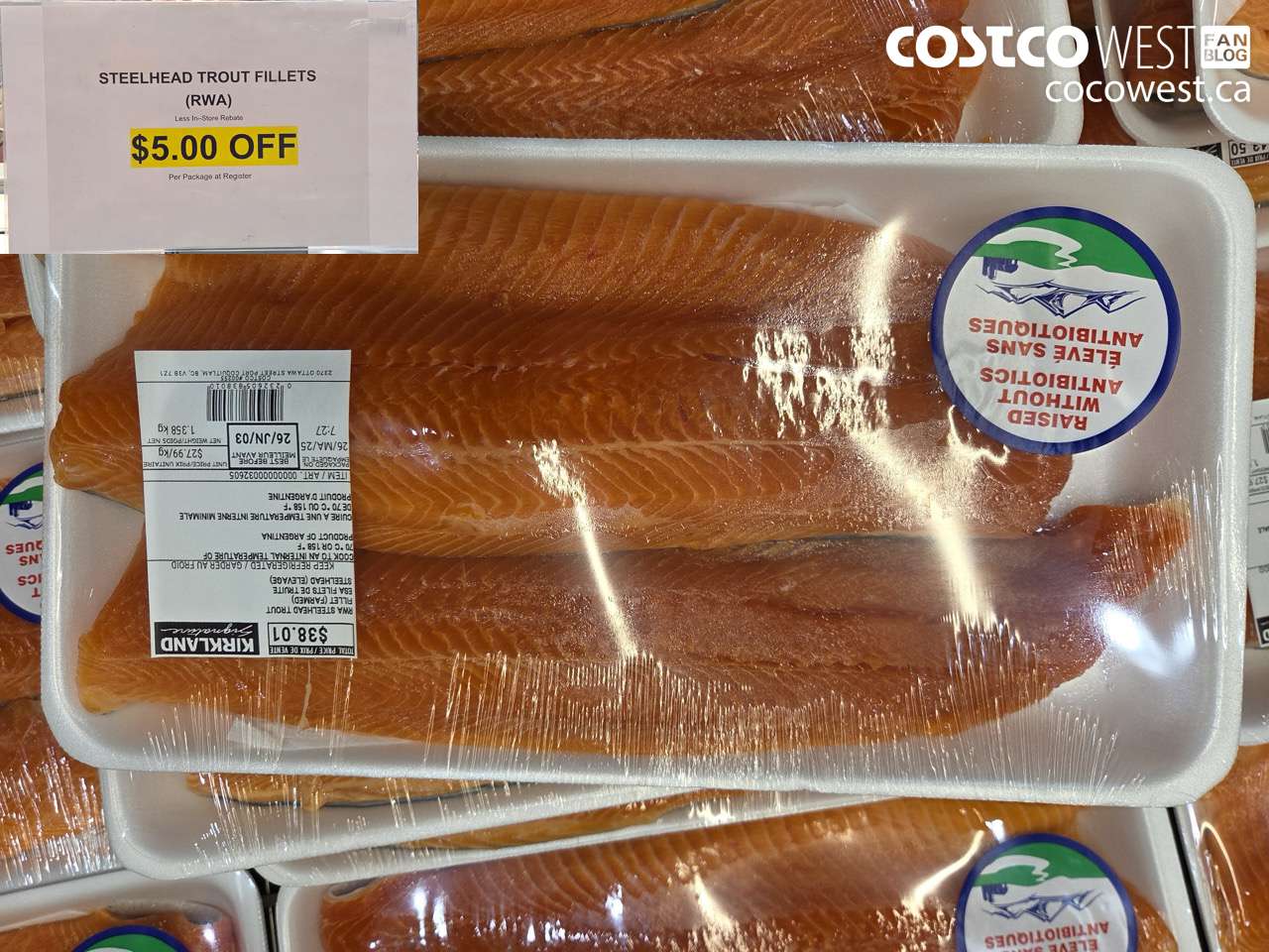 32605 STEELHEAD TROUT FILLETS (RWA) ($5.00 INSTANT SAVINGS)