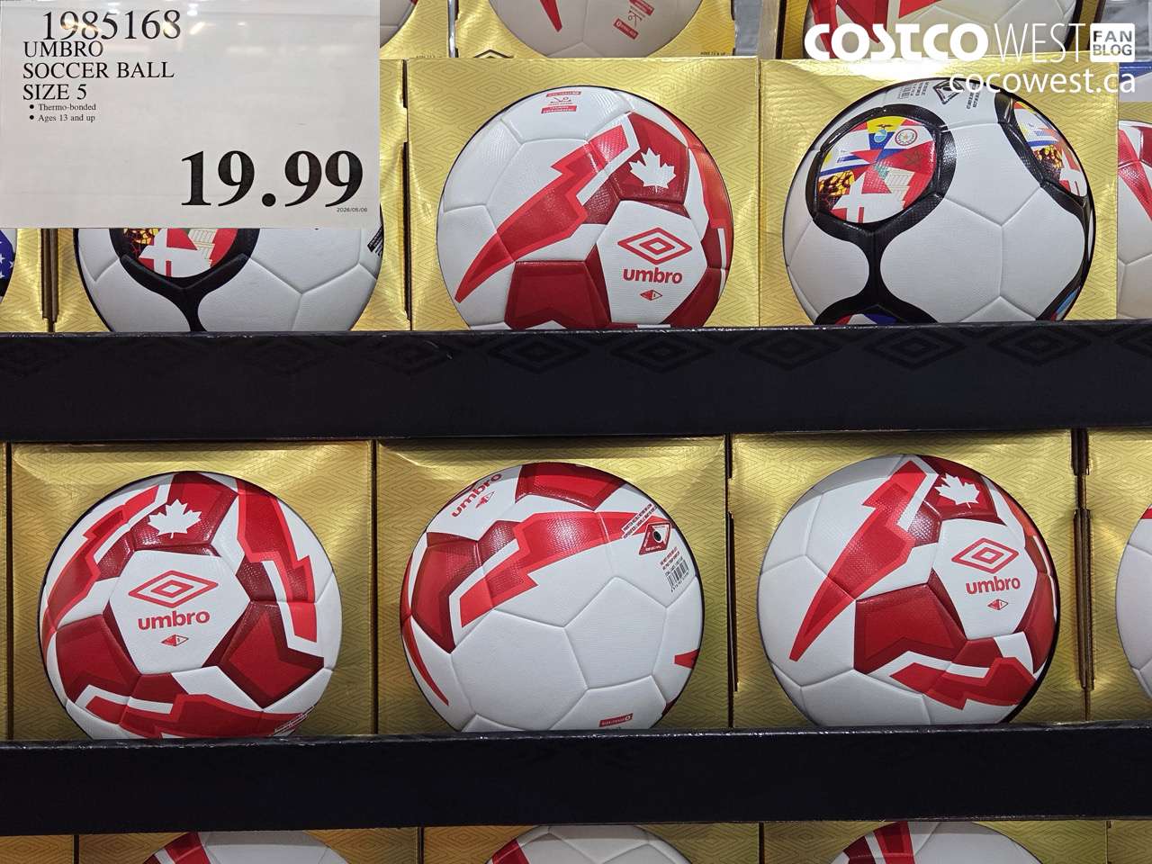 1985168 UMBRO SOCCER BALL SIZE 5 $19.99