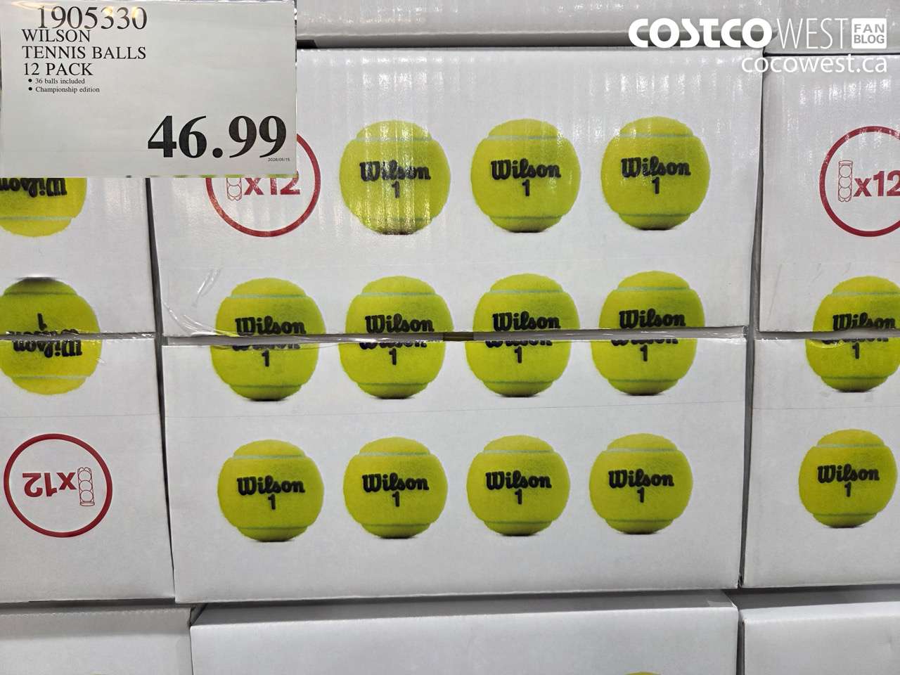 1905330 WILSON TENNIS BALLS 12 PACK $46.99