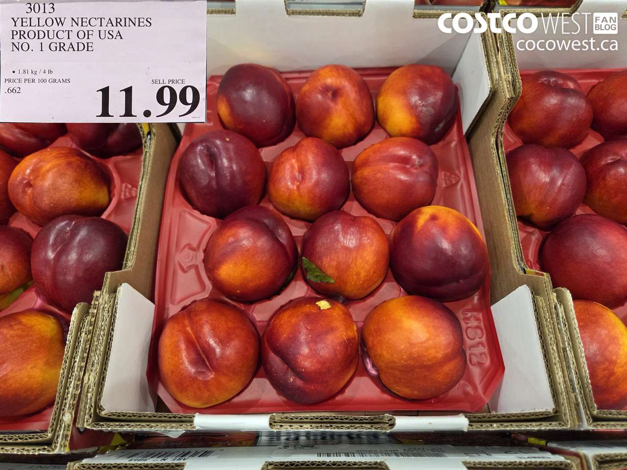 3013 YELLOW NECTARINES PRODUCT OF USA NO. 1 GRADE $11.99