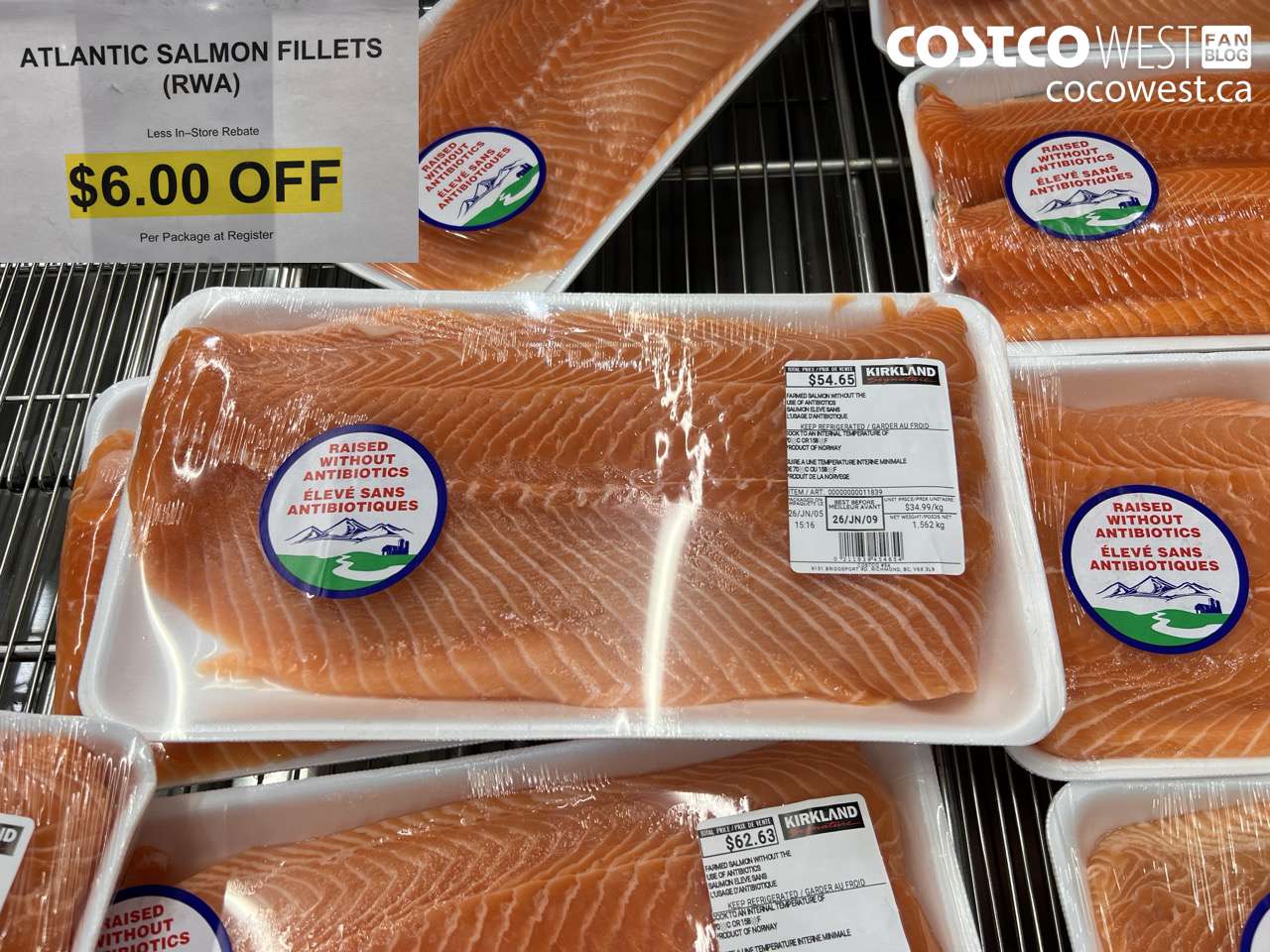 51454 ATLANTIC SALMON FILLETS (RWA) ($6.00 INSTANT SAVINGS)