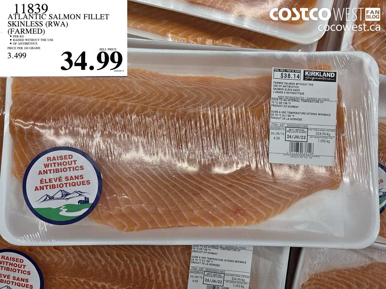 11839 ATLANTIC SALMON FILLET SKINLESS (RWA) (FARMED) $34.99