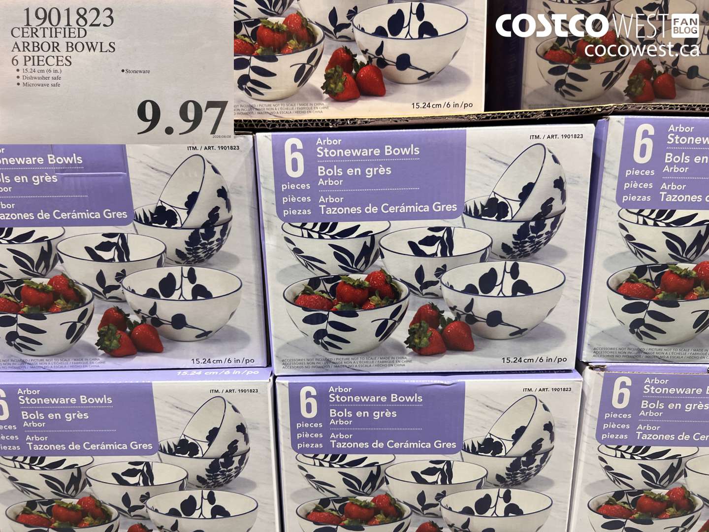 1901823 CERTIFIED ARBOR BOWLS 6 PIECES $9.97