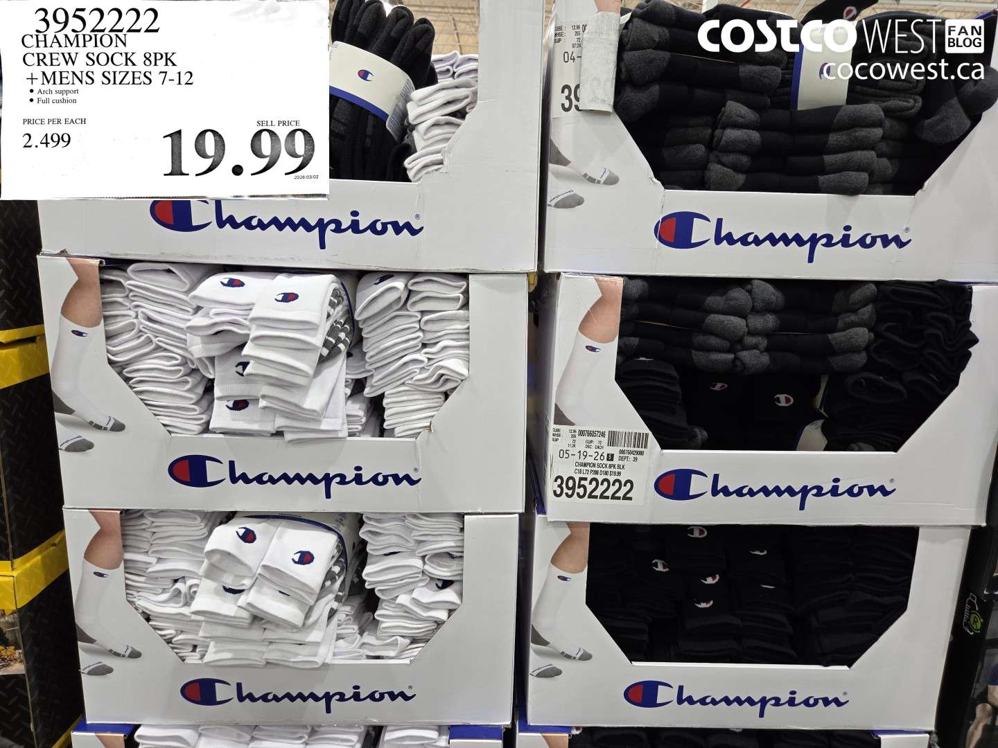 3952222 CHAMPION CREW SOCK 8PK MENS SIZES 7-12 $19.99