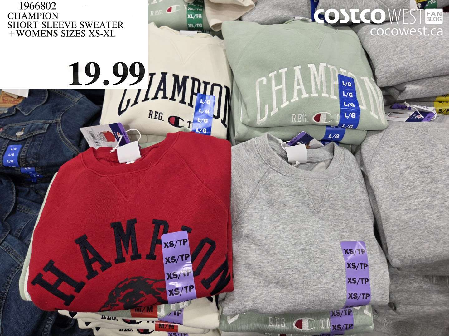 1966802 CHAMPION SHORT SLEEVE SWEATER WOMENS SIZES XS-XL $19.99