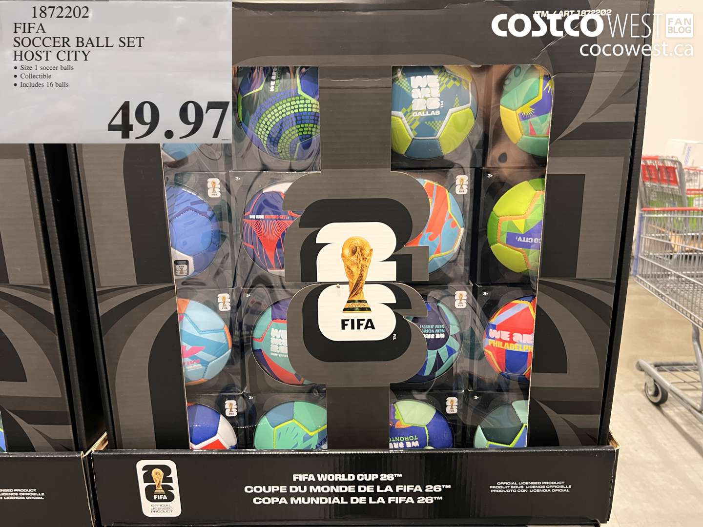 1872202 FIFA SOCCER BALL SET HOST CITY $49.97
