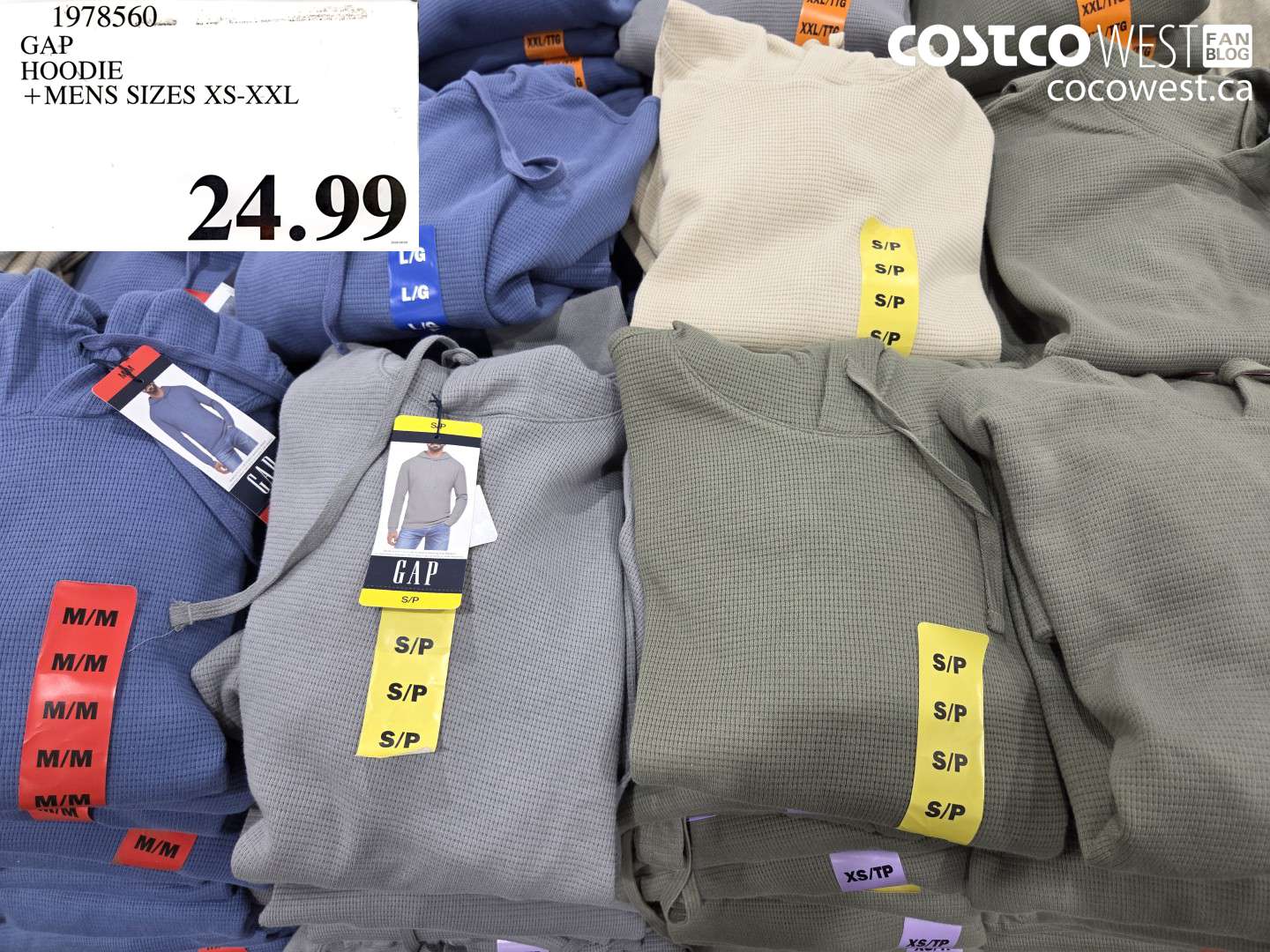 1978560 GAP HOODIE +MENS SIZES XS-XXL $24.99