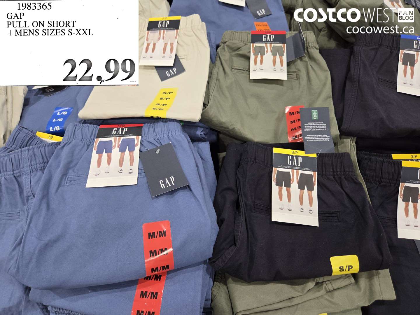 1983365 GAP PULL ON SHORT MENS SIZES S-XXL $22.99