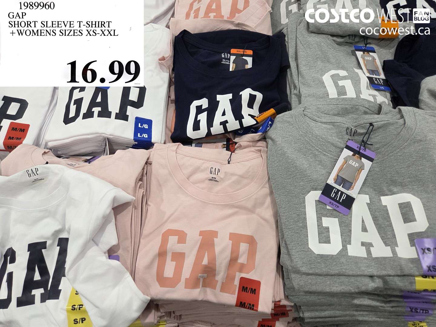 1989960 GAP SHORT SLEEVE T-SHIRT WOMENS SIZES XS-XXL $16.99