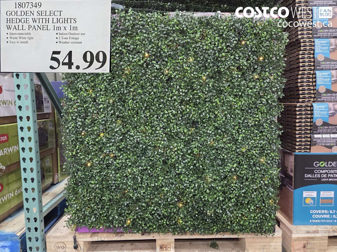 1807349 GOLDEN SELECT HEDGE WITH LIGHTS WALL PANEL 1M X 1M $54.99