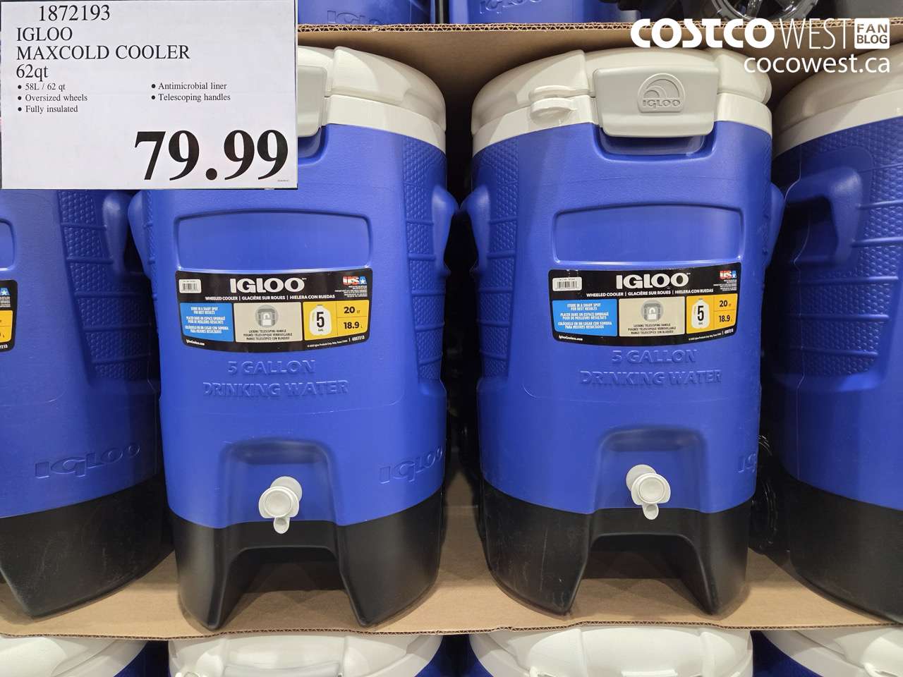 1872193 IGLOO MAXCOLD COOLER 62QT $79.99