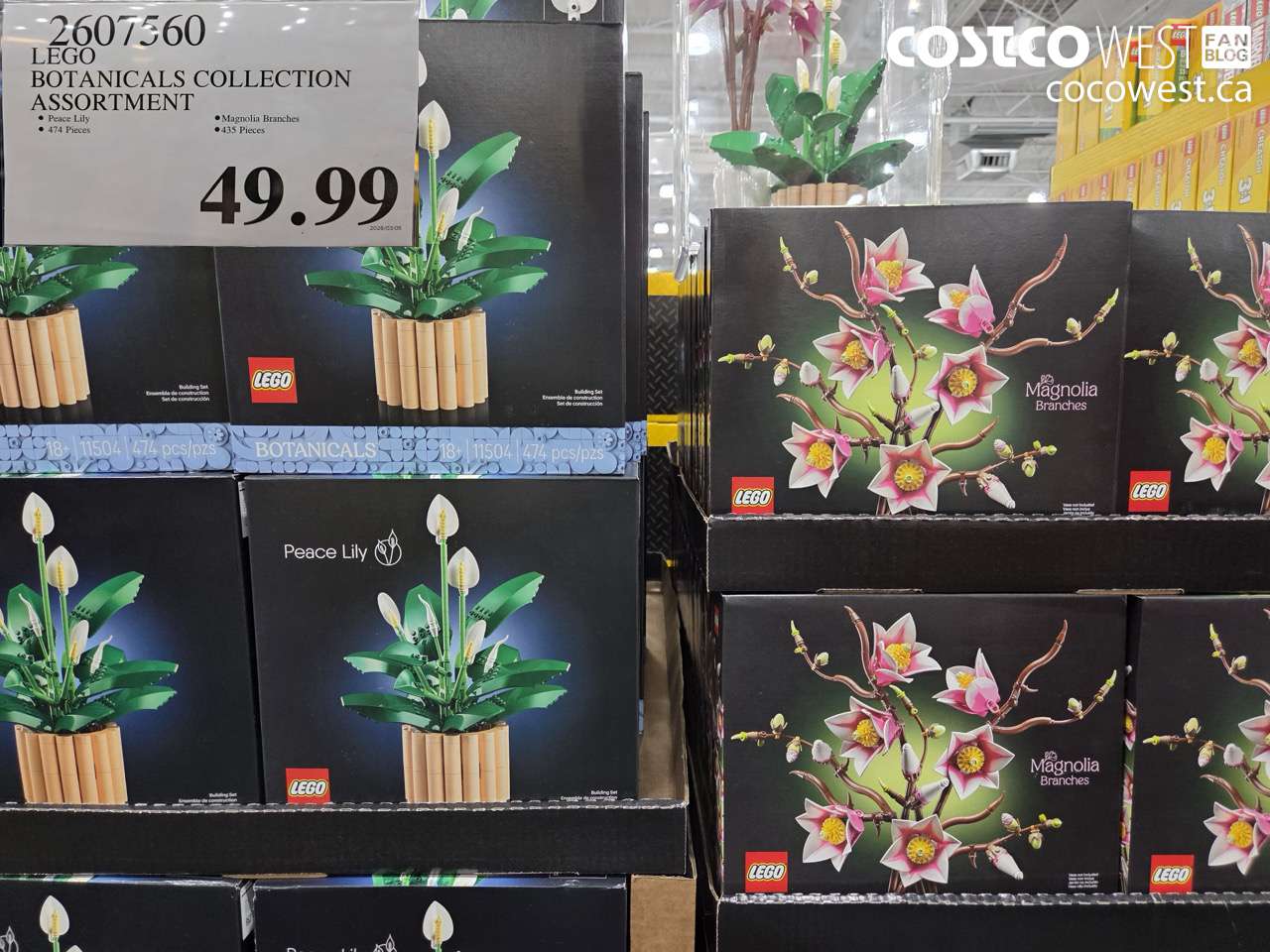 2607560 LEGO BOTANICALS COLLECTION ASSORTMENT $49.99