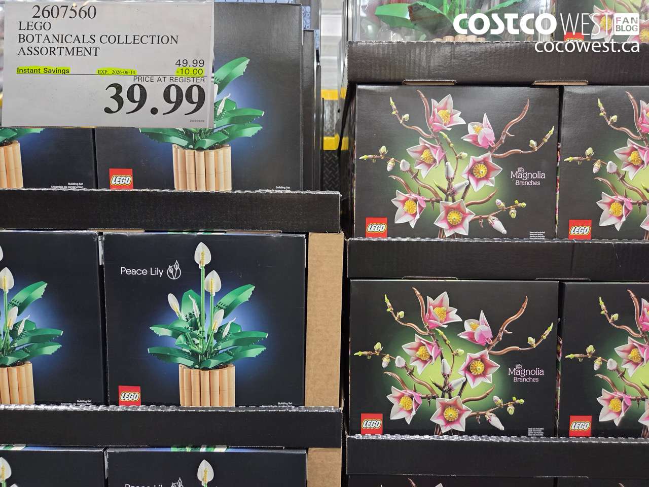 2607560 LEGO BOTANICALS COLLECTION ASSORTMENT ($10.00 INSTANT SAVINGS EXPIRES ON 2026-06-14) $39.99
