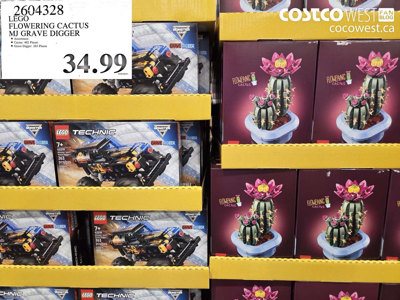 2604328 LEGO FLOWERING CACTUS MJ GRAVE DIGGER $34.99