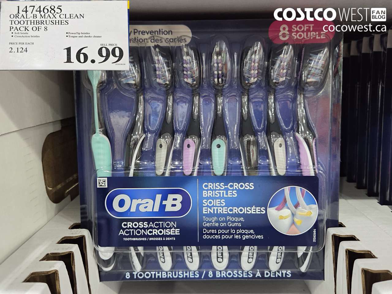 1474685 ORAL-B MAX CLEAN TOOTHBRUSHES PACK OF 8 $16.99
