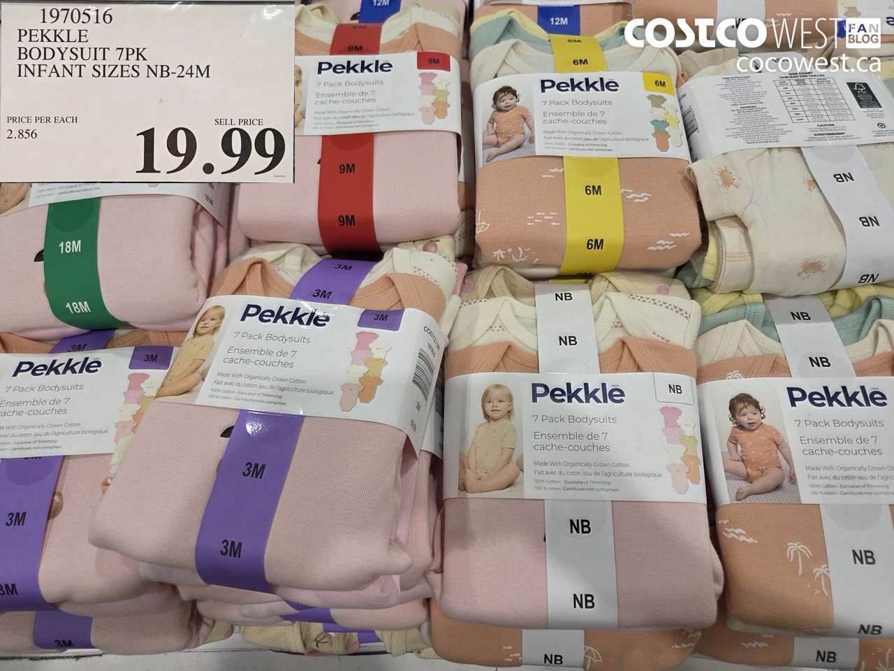 1970516 PEKKLE BODYSUIT 7PK INFANT SIZES NB-24M $19.99