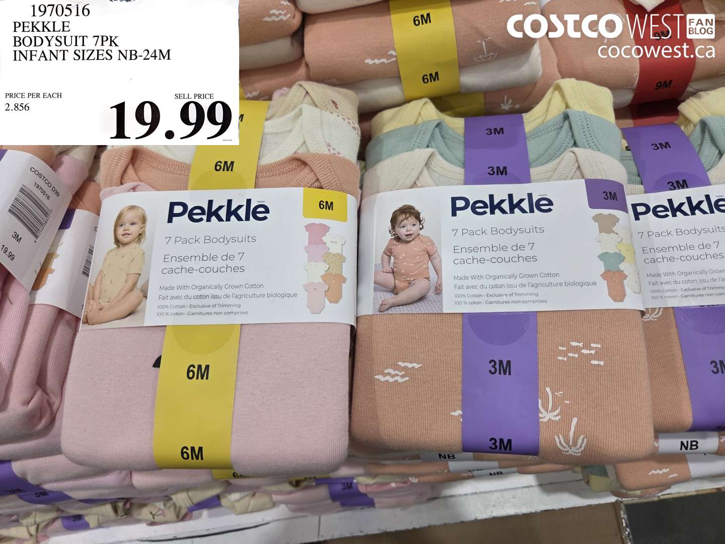 1970516 PEKKLE BODYSUIT 7PK INFANT SIZES NB-24M $19.99