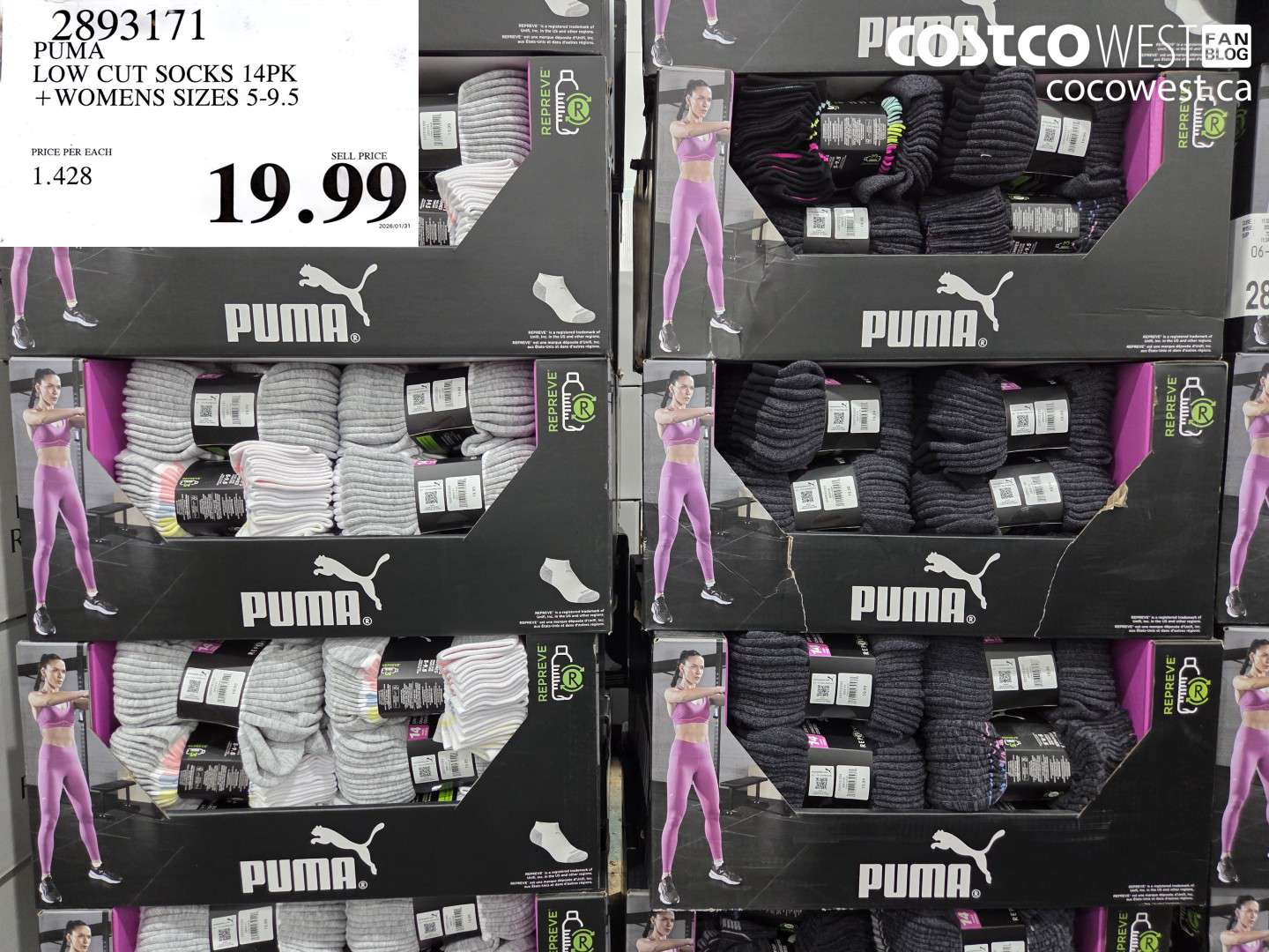 2893171 PUMA LOW CUT SOCKS 14PK + WOMENS SIZES 5-9.5 $19.99