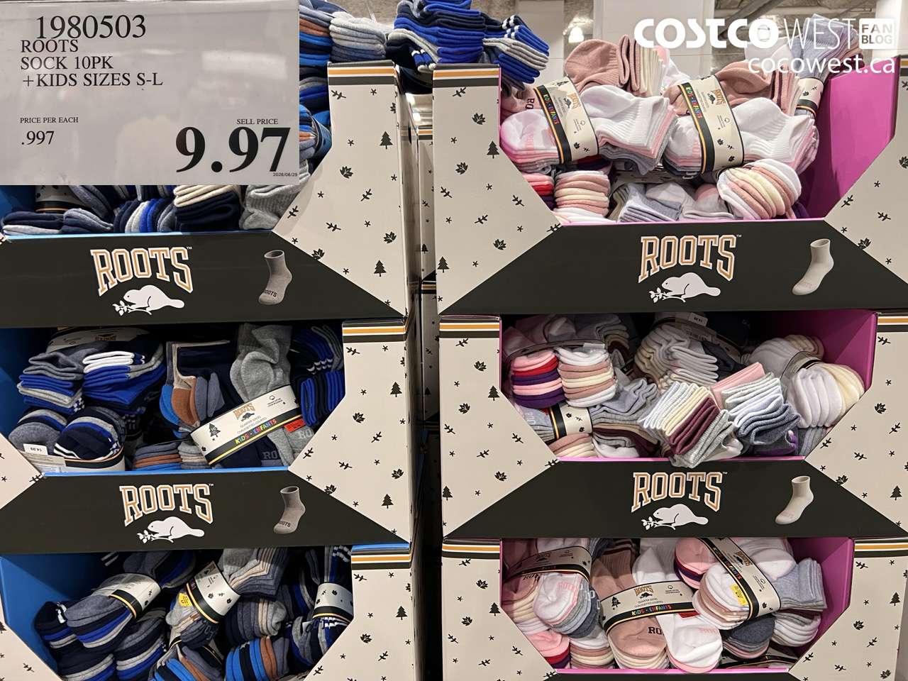 1980503 ROOTS SOCK 10PK + KIDS SIZES S-L $9.97
