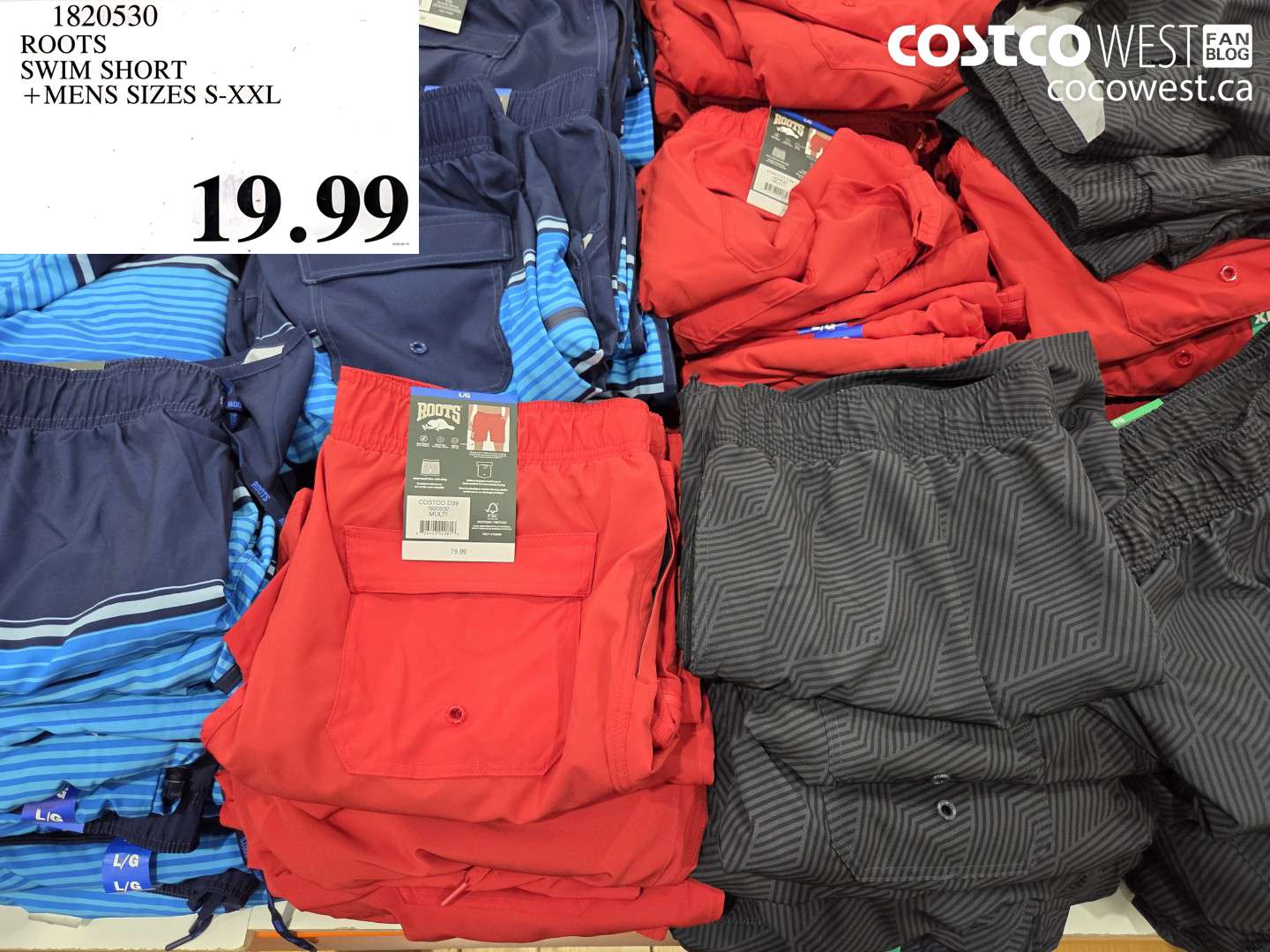 1820530 ROOTS SWIM SHORT + MENS SIZES S-XXL $19.99