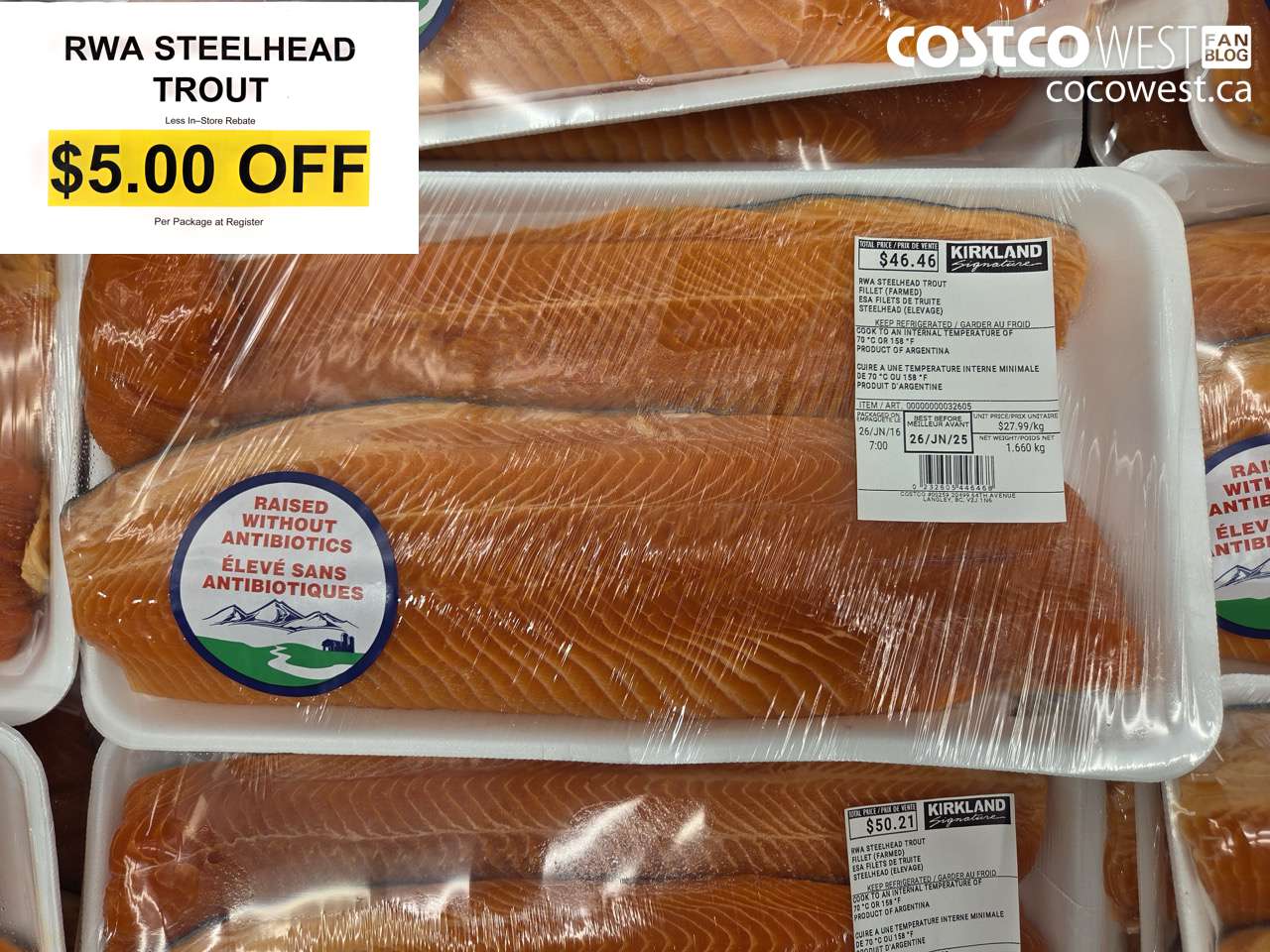 32605 RWA STEELHEAD TROUT ($5.00 INSTANT SAVINGS)