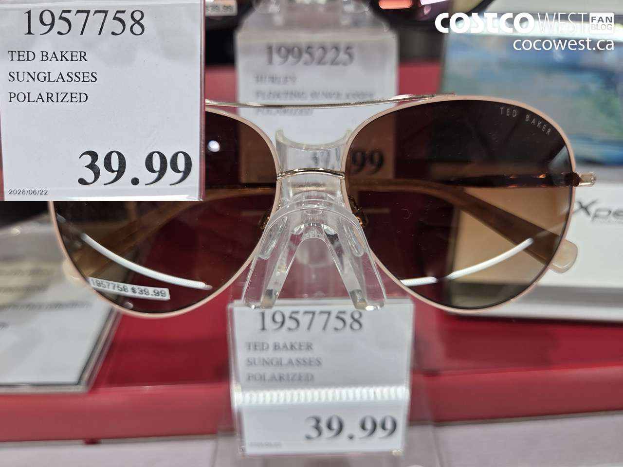 1957758 TED BAKER SUNGLASSES POLARIZED $39.99