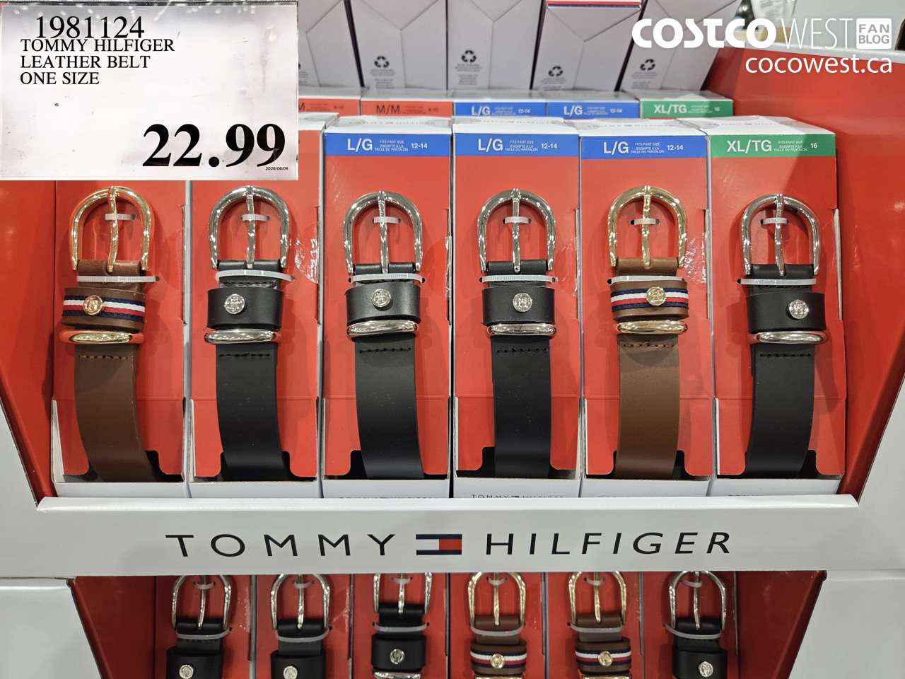 1981124 TOMMY HILFIGER LEATHER BELT ONE SIZE $22.99